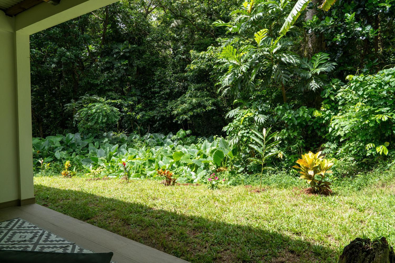Kay Canou, Rez-De-Jardin, Calme Et Nature Le Robert Dış mekan fotoğraf
